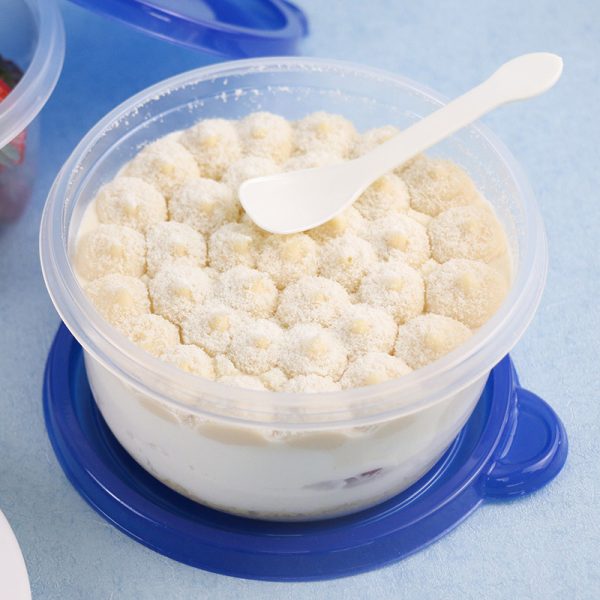 Disposable Melaleuca Cake Box (2)