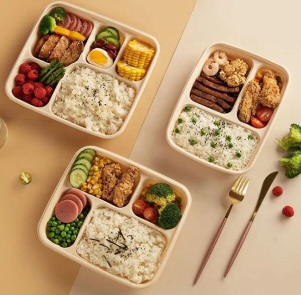 Eco-friendly cornstarch takeaway food containers