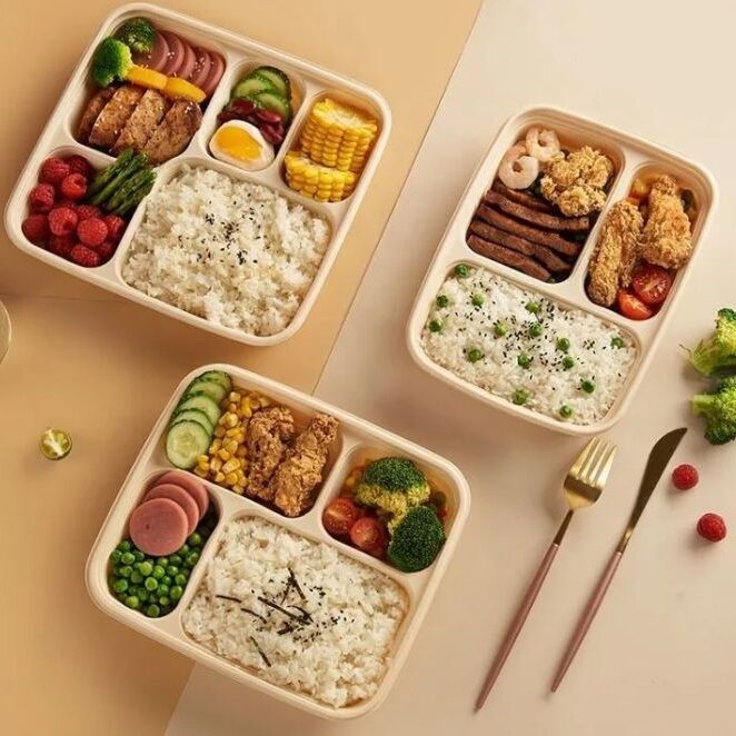 Eco-friendly cornstarch takeaway food containers