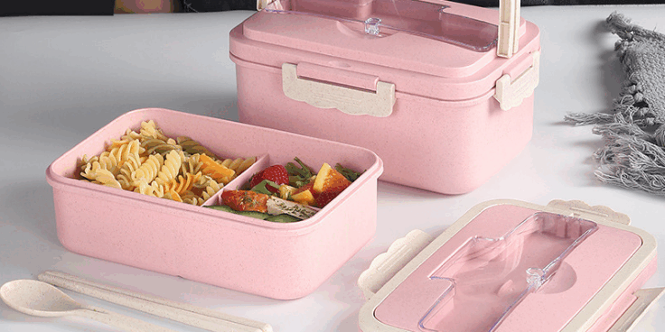Eco Friendly Bento Lunch Box