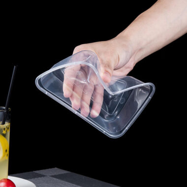 disposable fruit lunch box with lid