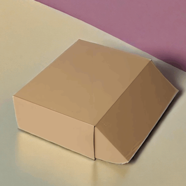 craft corrugated food shipping box