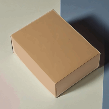 craft corrugated food shipping box