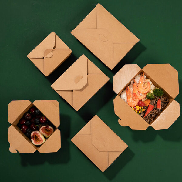 disposable lunch box for takeaway